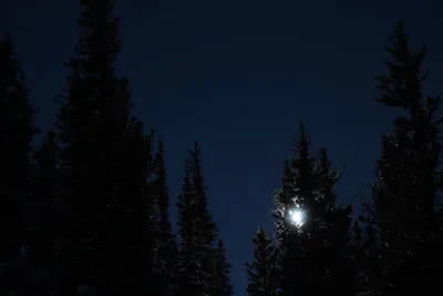 DSC_4978 (Large).JPG